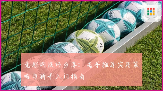 竞彩网技巧分享：高手推荐实用策略与新手入门指南