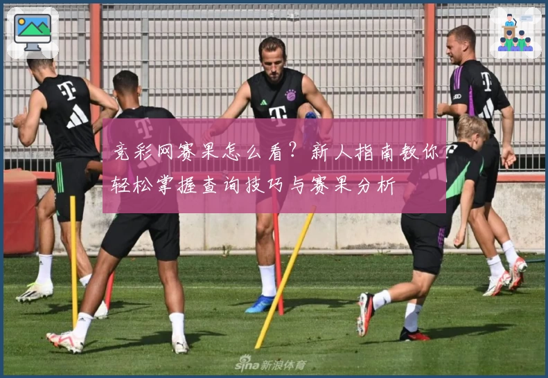 竞彩网赛果怎么看?新人指南教你轻松掌握查询技巧与赛果分析