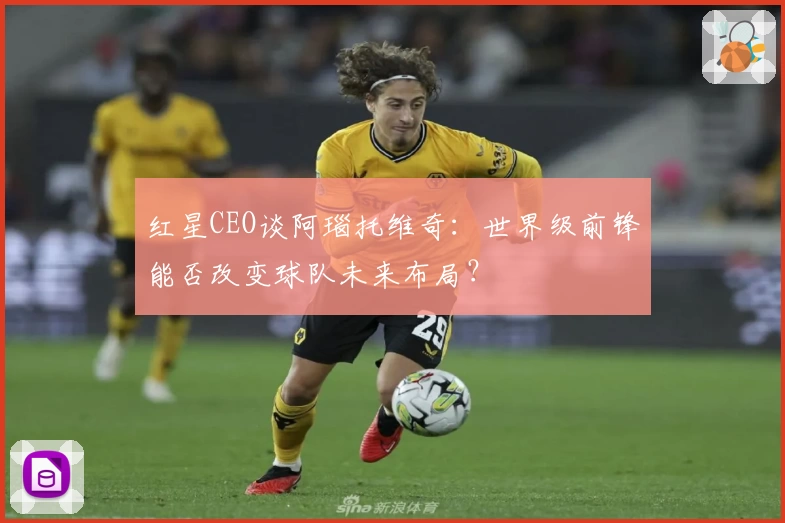 红星CEO谈阿瑙托维奇：世界级前锋能否改变球队未来布局？