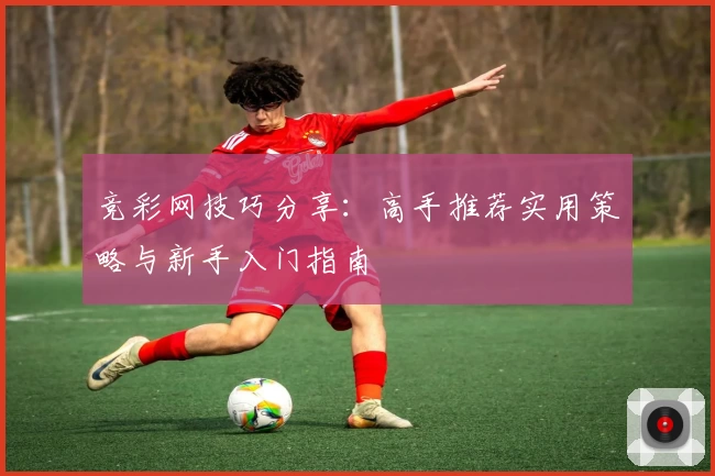 竞彩网技巧分享：高手推荐实用策略与新手入门指南