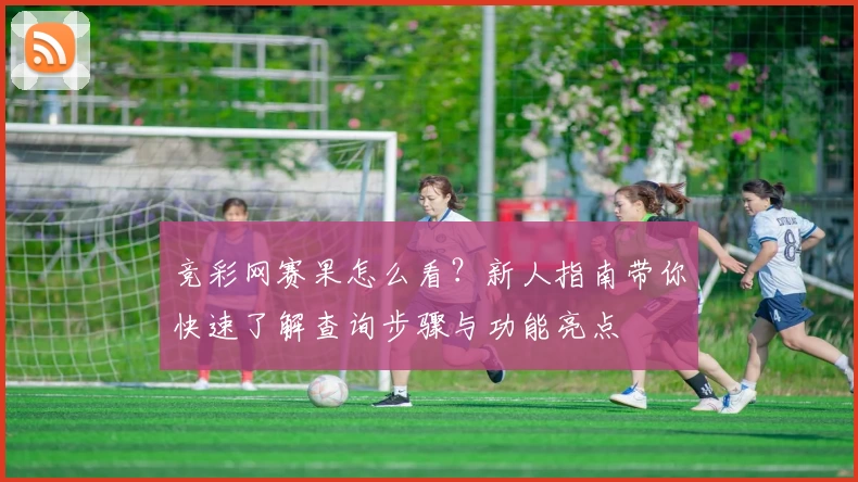 竞彩网赛果怎么看?新人指南带你快速了解查询步骤与功能亮点