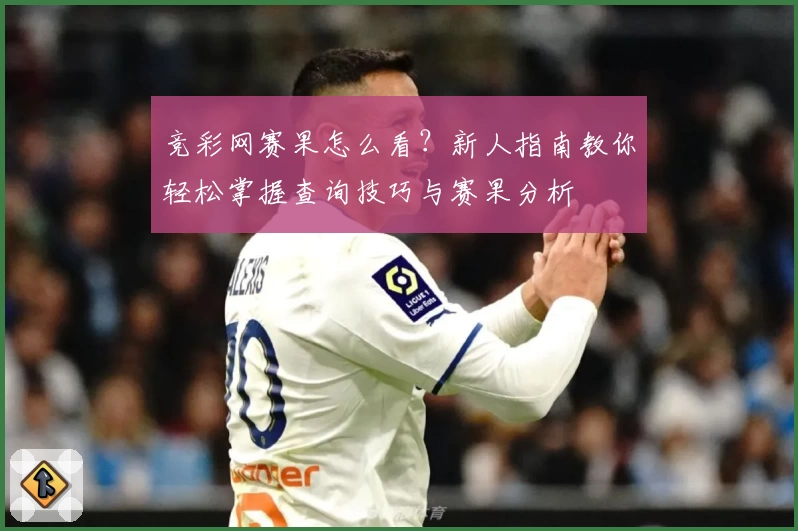 竞彩网赛果怎么看？新人指南教你轻松掌握查询技巧与赛果分析